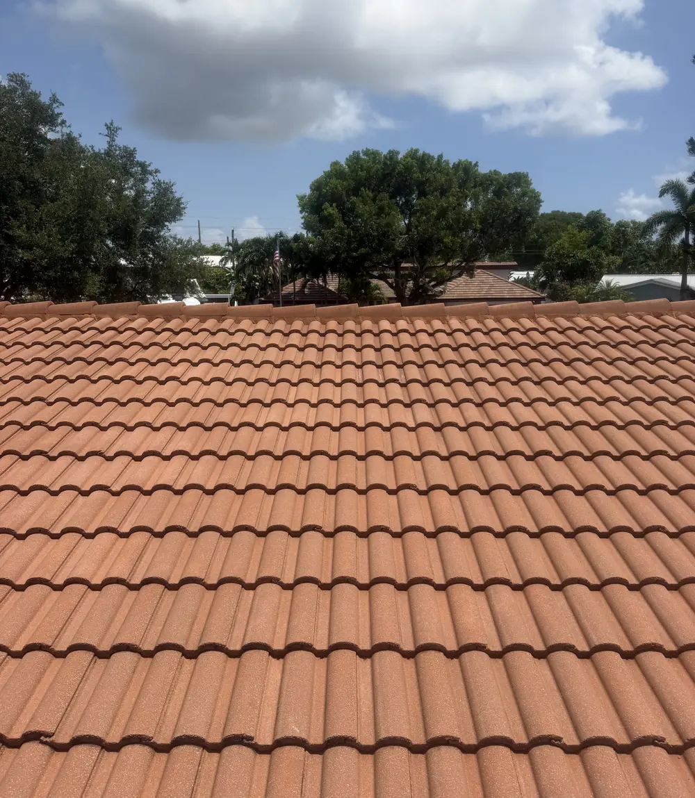 Clean tile roof after a Just Another Wash soft wash